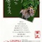 さあ、スタートしましょ。