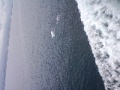 b210152b.jpg