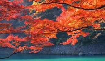 美しい日本の風景を見て和んでみよう(画像あり)