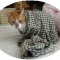 キレがよくても悪くてもどっちでもいいのが猫