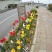 うおのめ久之浜 2012.04.30 (その6) #iwaki #fukushima #nikon