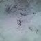 二日間の雪