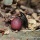 ����夤��