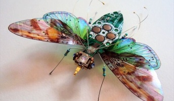 仮に虫に命がなくてロボットだったら