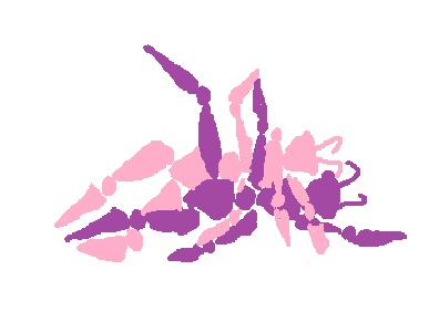 48