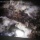 THE LAST WORKS OF GRADUATES
