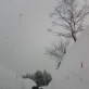 [ski] �����ޥ���ǥ������� 2012/01/29 ��ꤹ��������
