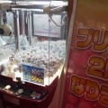 ����������ͳ���ֽ����ޤĤꡡ�פδ�