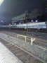 f38be402.jpg