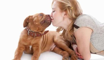 【朗報】犬を飼うだけで10歳若返るとの調査結果