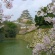 【画像有】桜はなぜ1週間しか仕事をしないのか…福岡で開花