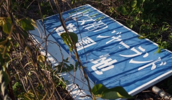 廃遊園地いってきたので画像を貼る