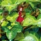 ½µ´©¡¦¸½¾ì»¨´¶¡¡VOL¡¥24¡¡Íèǯ¤ÎÅìÊõ¤Î¥é¥¤¥ó¥¢¥Ã¥×¤ò¥Á¥§¥Ã¥¯¡ª¡ØÍÙ¤ëÂçÁܺºÀþ THE MOVIE 3 ¡Ù¤¬¤¤¤è¤¤¤è»Ïư¤Ç¤´¤¶¤¤¤Þ¤¹¡ª¡ª