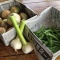 野菜
