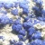 ◆ 藍銅鉱 ~ モロッコ産 ~ ◆