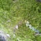 苔モス君のお話