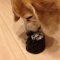恵方巻き@ワンズ