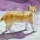 トルコの猫