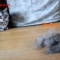 猫と抜け毛と毛玉ボール。