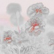 特殊フィルタ