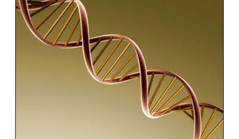 世界驚愕の遺伝子研究! なんと秘密裏に人間と動物の混合種が150以上も作られていた