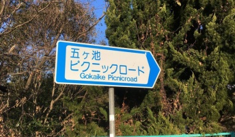 心霊スポット巡りしながら初詣に行く