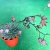 多肉植物の花が咲きました