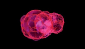 人類の進化は「超新星爆発」の影響だった? 最新研究が指摘