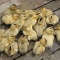 【動画】アイガモ米つくり始まる（北杜市小淵沢町）