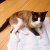 �»�ǭ���ݸ�Ƥ��ޤ�����