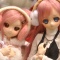 ドルパ２４に参加してきました！！