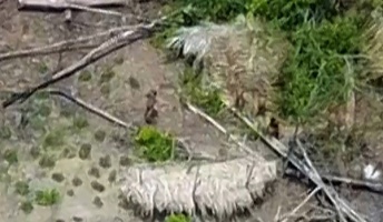 【南米】「文明社会と接触していない」ドローンがとらえた先住民の映像が公開される