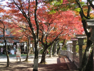 2011阿夫利神社(1)