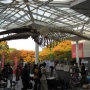 大阪バードフェスティバル2010 ―鳥から生物多様性を考える―♪11/20〜21