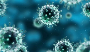 1日で治るインフルエンザ薬”実用化へ ウイルスの増殖を阻害、死滅させる効果