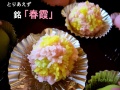 wagashi37
