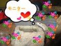 BlogPaint