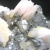 ◆ 白鉛鉱 ~ モロッコ産 ~ ◆