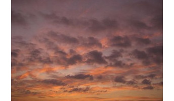 『変なおっさんに拉致されてた』~ヴォイニッチ手稿との奇妙な一致