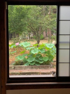 2018.8.7