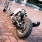 猪突猛進！G-board