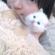 まさにゃは世界一可愛い(´Д` )