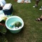 BBQ♪バーベキュー♪♪