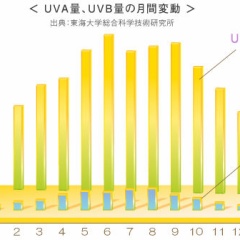 SPFとPAの意味とは?UVA、UVBの違いって?意外に知らない紫外線のこと。