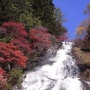 �����ڤä��Ķ��ȹ��դ˱Ǥ���̾�ơ������� ����