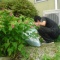 皆で除草作業(> ε<)