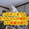 ワイのセキセイインコ 何故か喋らない