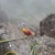 三ッ峠クライミング