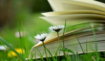 この本は読んどけってやつ教えて