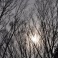 hazy shade of winter